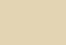 Beige ivoire