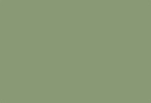 Vert pale